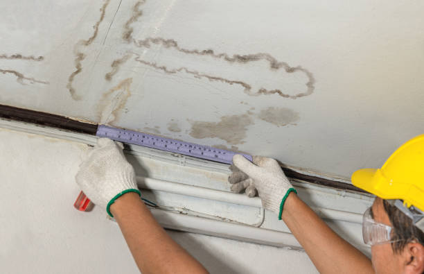 Reliable Basement Water Removal contractor in Columbus, MI by Water Damage Irwin